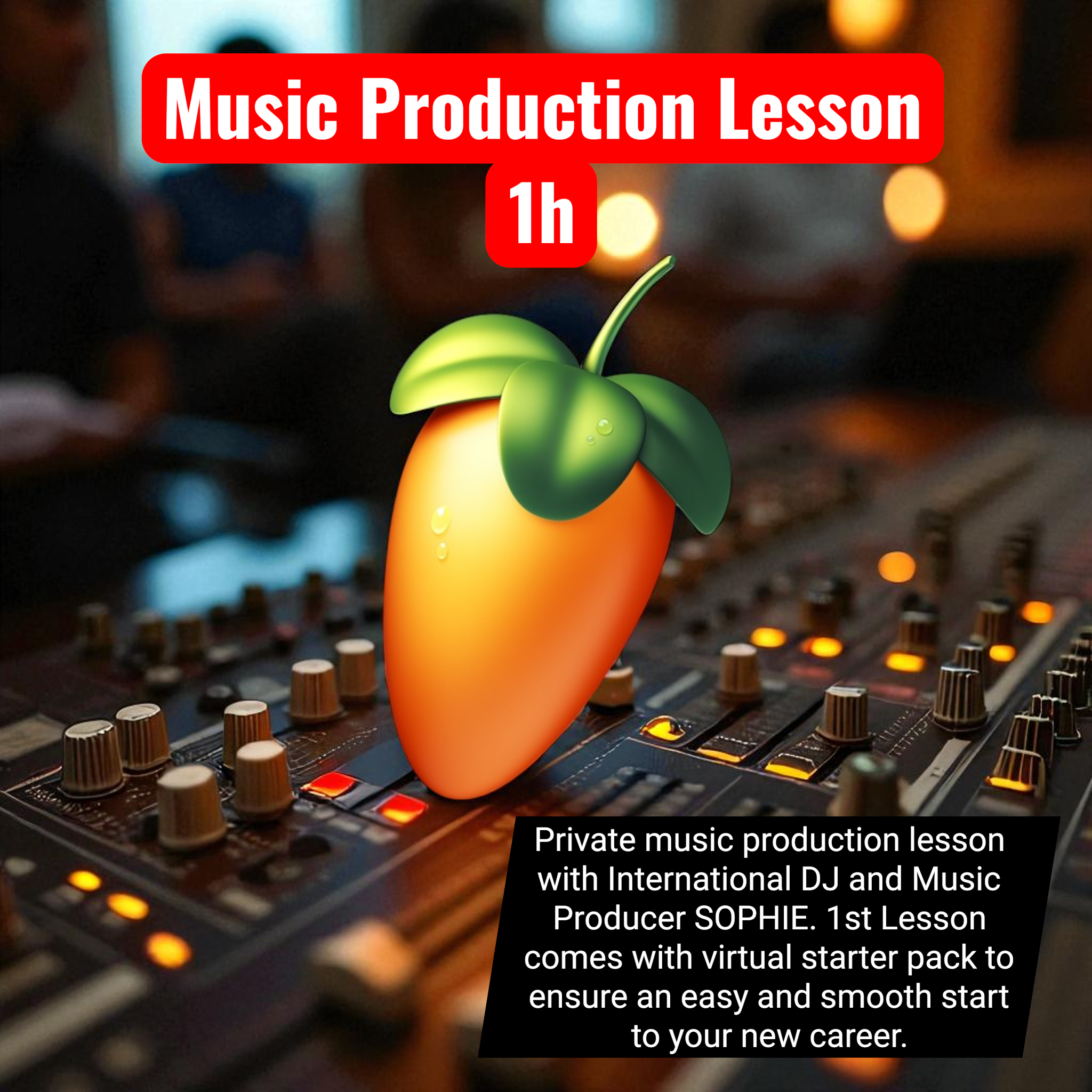 MUSIC PRODUCTION LESSON 1h (Private)